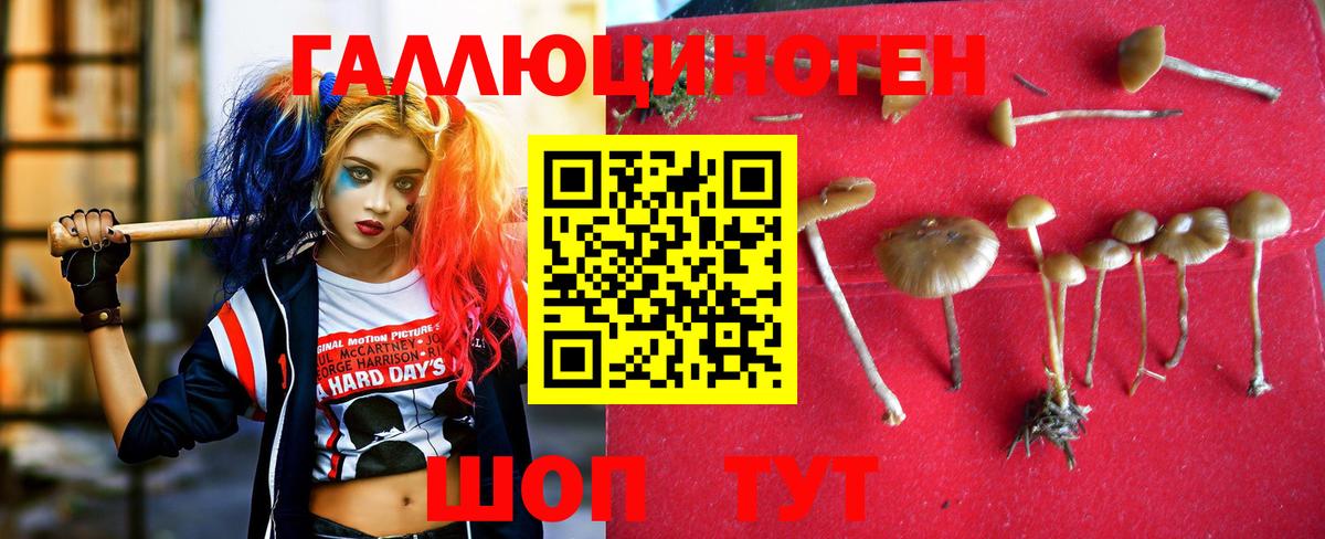 Псилоцибиновые грибы ЛСД Троицк