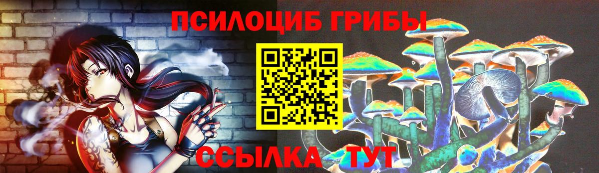 Псилоцибиновые грибы Psilocybine cubensis  Вход с VPN  Троицк  Псилоцибиновые грибы Psilocybine cubensis 